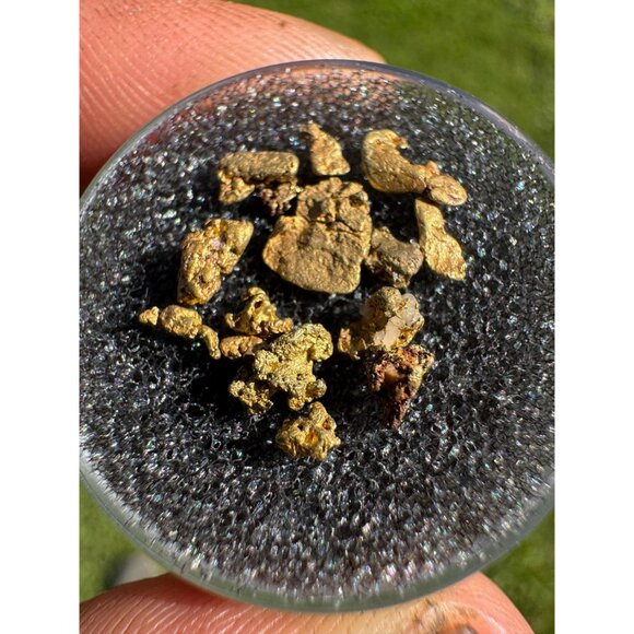 Gold Nuggets from California - 1 gram - Picture 4 of 4